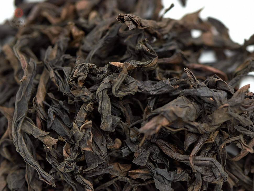 Чай «нахальный фрукт»: состав и свойства ароматной смеси