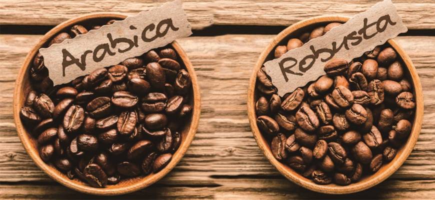 Что такое кофе гляссе, рецепты приготовления