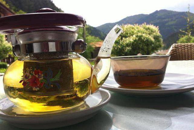 Мурсальский чай: полезные свойства, как заваривать