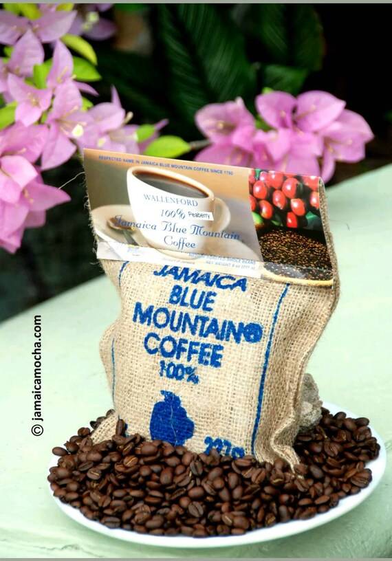 Кофе блю маунтин (blue mountain) из ямайки: описание сорта
