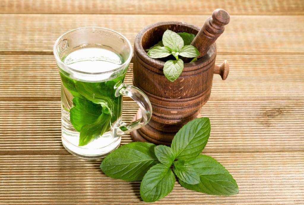 Полезные свойства и противопоказания чая с мятой, рецепты и особенности употребления
