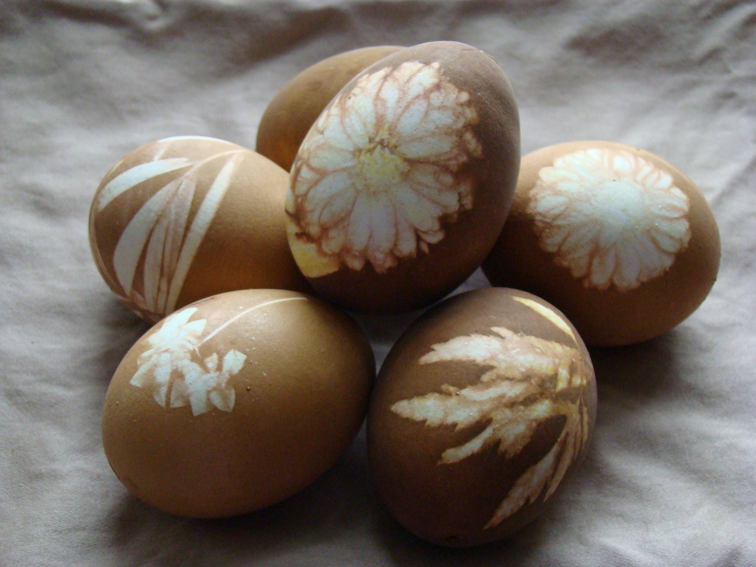 Как красиво покрасить яйца на пасху своими руками в домашних условиях?
