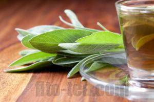 7 рецептов ароматного чая с шалфеем