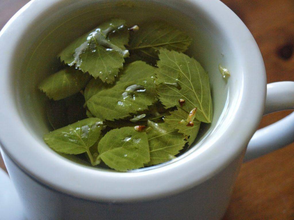Травяные чаи: витаминные, лечебные | кулинария - всё pro еду!