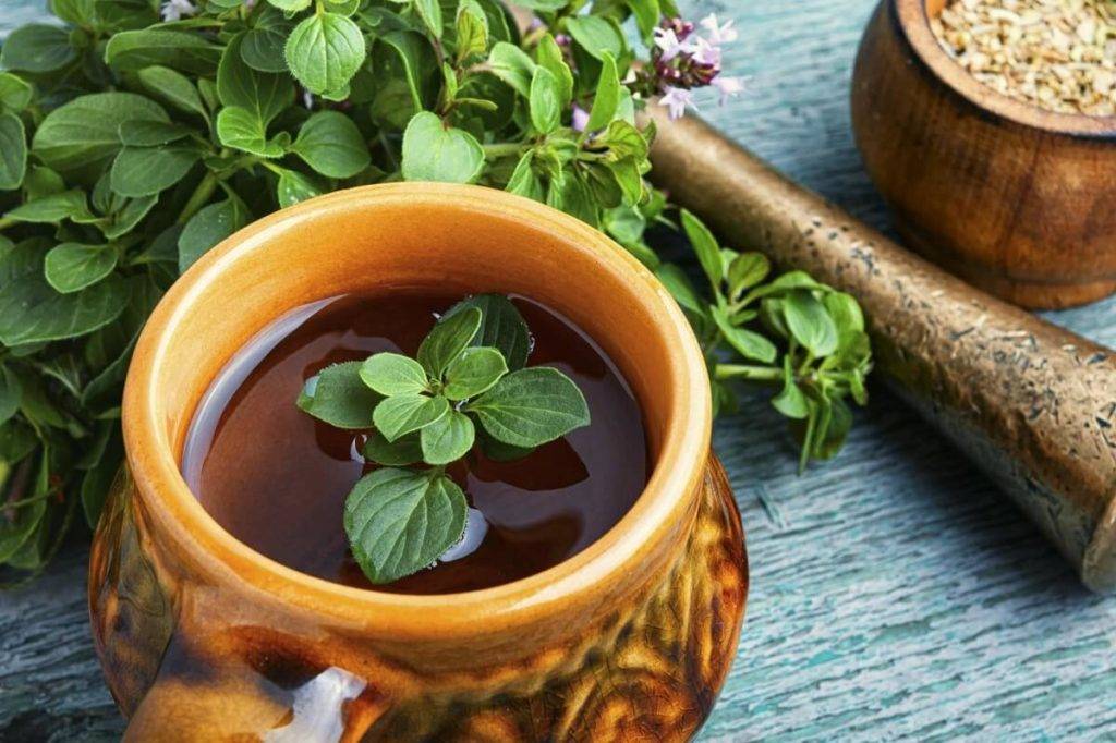 Как правильно заваривать чай с душицей. 6 способов заварить чай с душицей