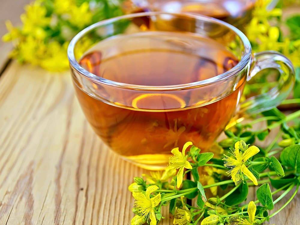Как правильно заваривать чай с душицей. 6 способов заварить чай с душицей