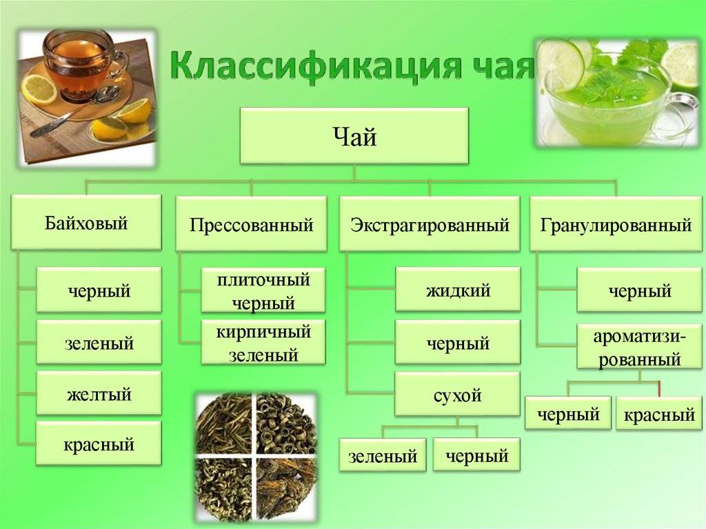 Чай: как выбрать хороший и качественный зеленый и черный чай, признаки качества - как выбрать