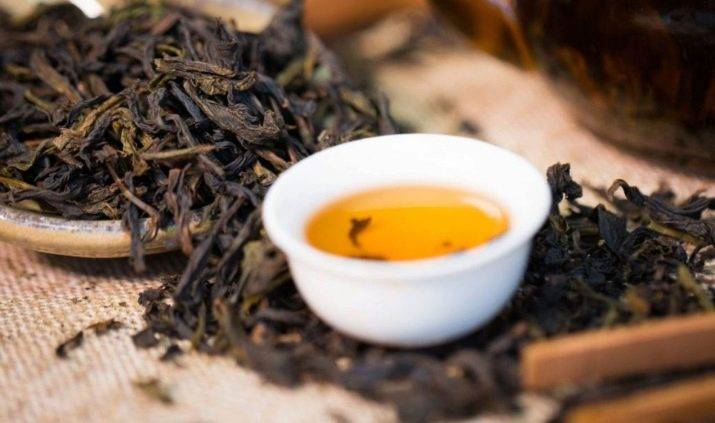 «вчерашний чай – змеиный яд». эксперт – о самом популярном напитке