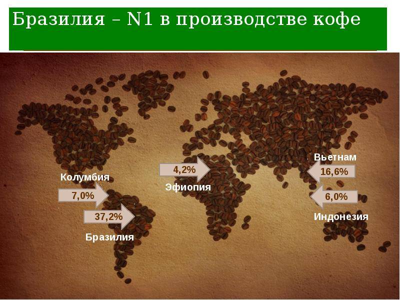 Страны – производители кофе — изучаем детально