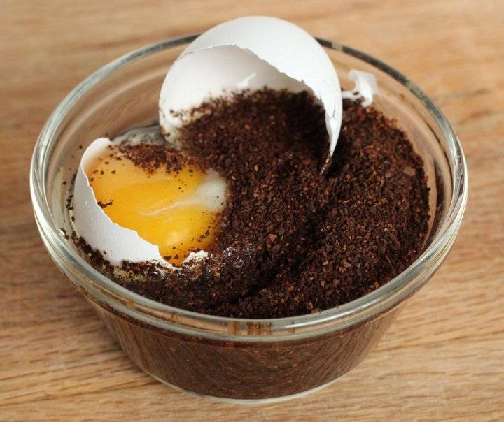 Кофе с яйцом - название, вкусно или нет, польза и вред, рецепты приготовления