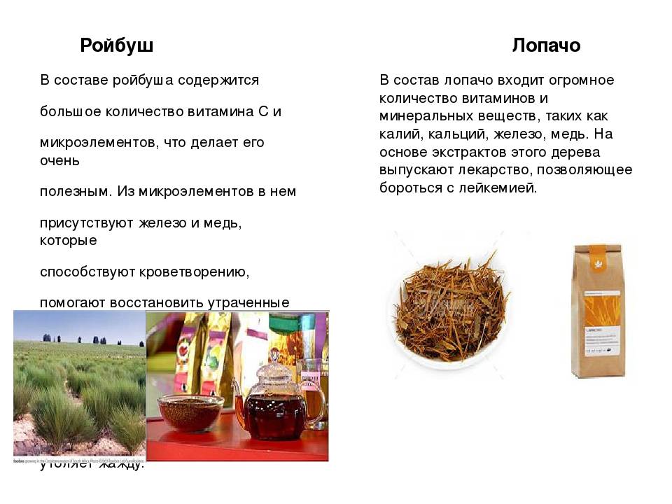 Чай Ройбуш – напиток с незабываемым вкусом и ароматом