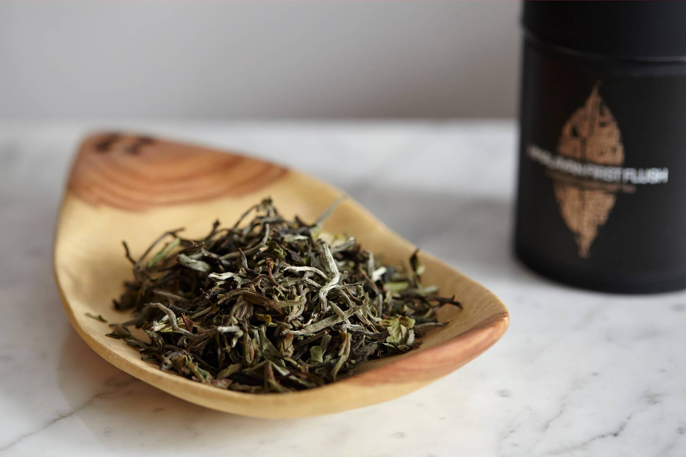 Чай из бадана: способы приготовления, польза и вред