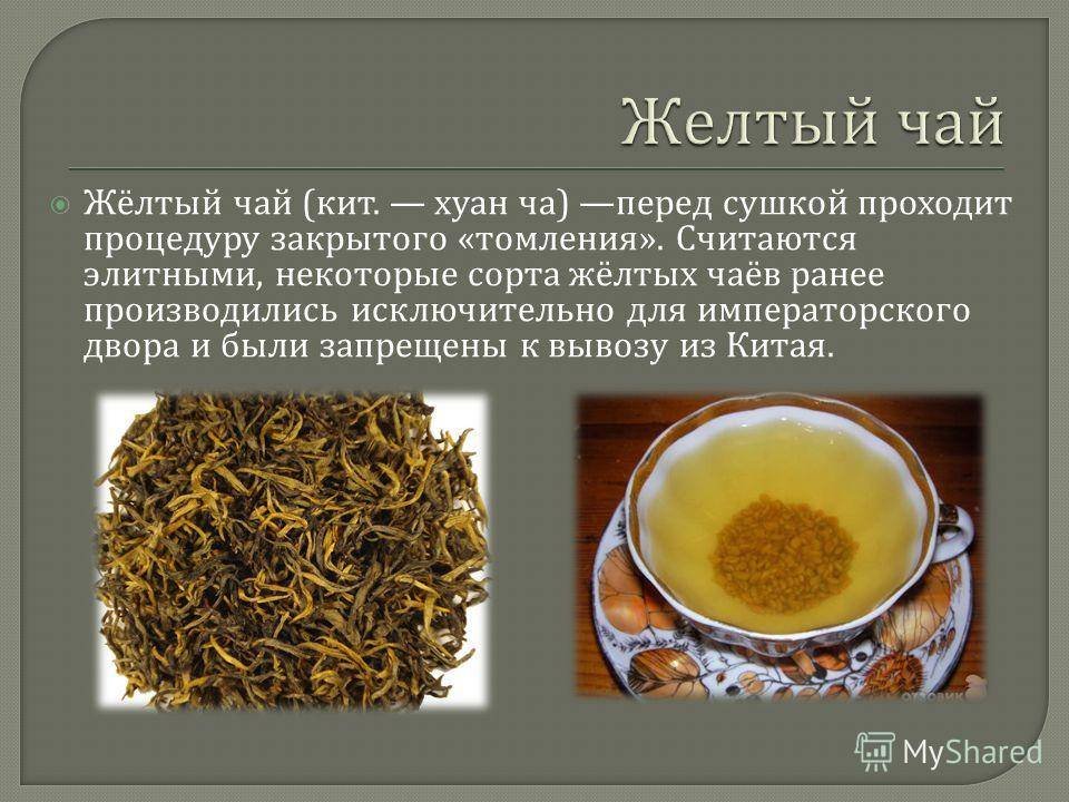 Жёлтый египетский чай хельба - состав и полезные свойства medistok.ru - жизнь без болезней и лекарств