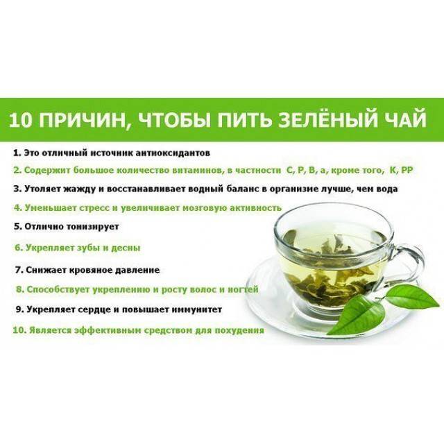 Можно ли пить зеленый чай на ночь перед сном и полезно ли это