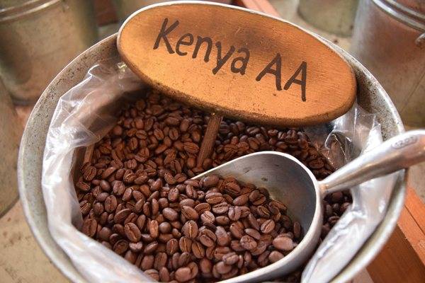 Основные черты и разновидности кофе из Кении