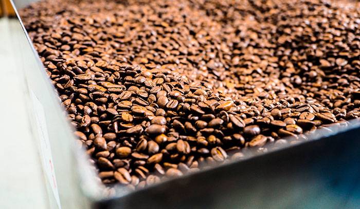 Как и где растет кофе, страны-производители, лидеры по выращиванию