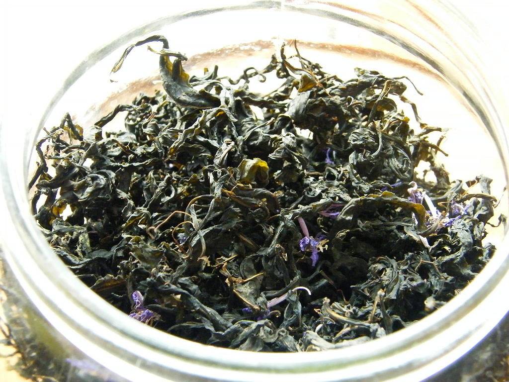 Иван-чай (кипрей): лечебные свойства кипрея и уникальность