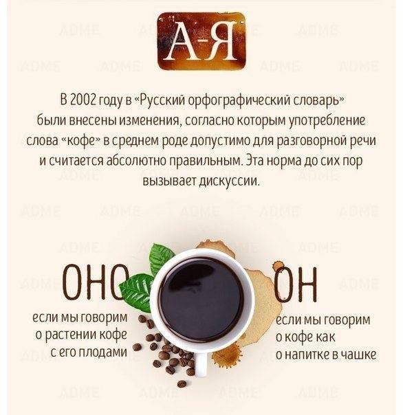 Какой род у слова «кофе» мужской или средний?