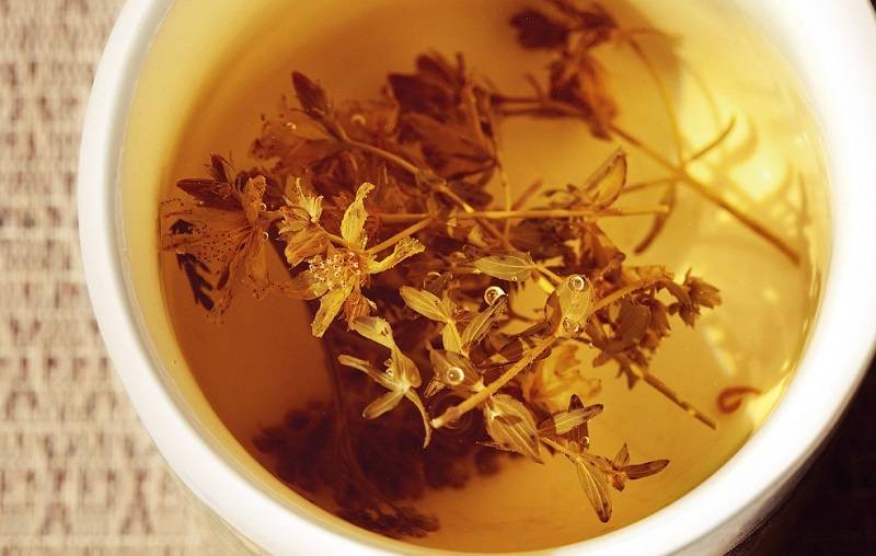 Чай из календулы: польза и вред, как заваривать и пить