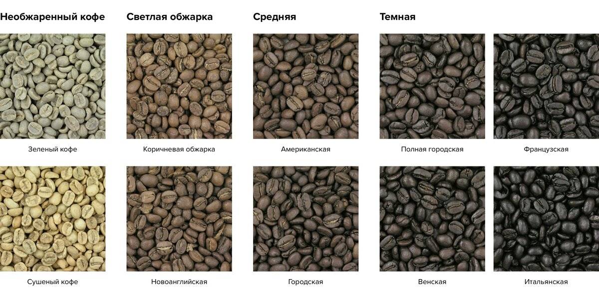 Обжарка кофе и ее виды