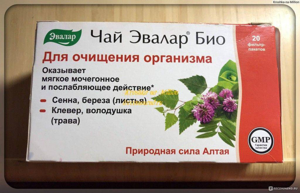 Травяной чай для очищения организма: аптечные сборы, противопоказания и вред, рецепты в домашних условиях