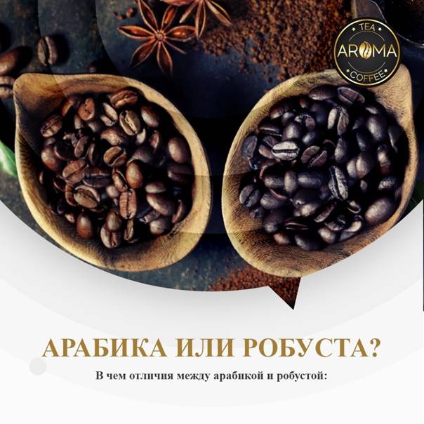 Кофе робуста и арабика в чем отличия и разница