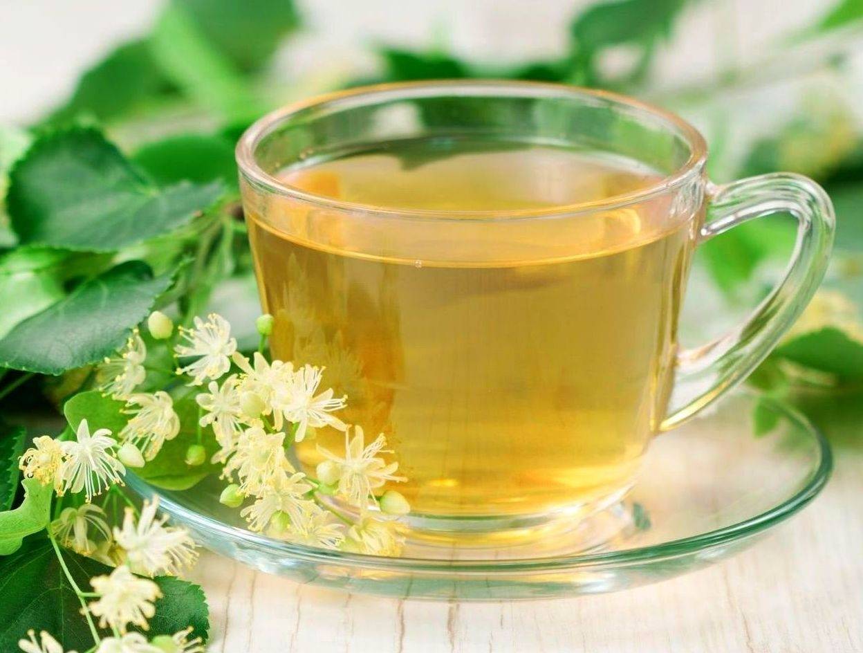 Белая акация: лечебные свойства и рецепты чая и отваров