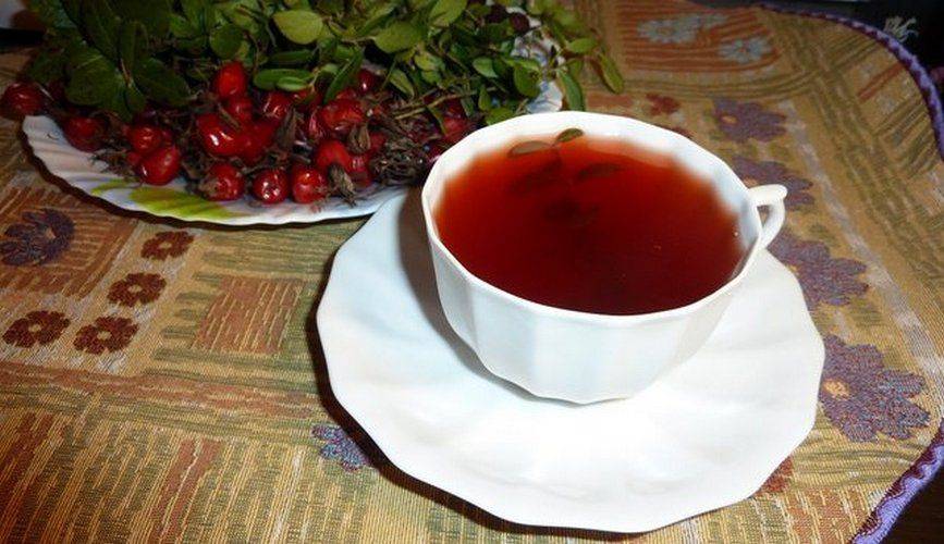 Брусничный чай: 7 рецептов напитка с брусникой, полезные свойства, противопоказания
