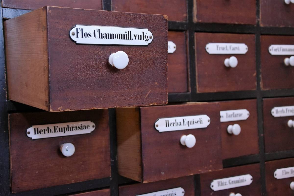 Как правильно сушить и хранить ромашку