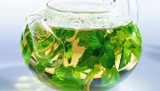 8 лучших видов чая из аптеки для похудения (+какие травы помогут сбросить лишний вес)