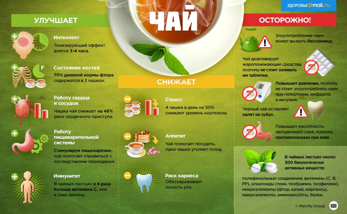 Черный чай: состав, польза и вред для здоровья организма, особенности употребления
