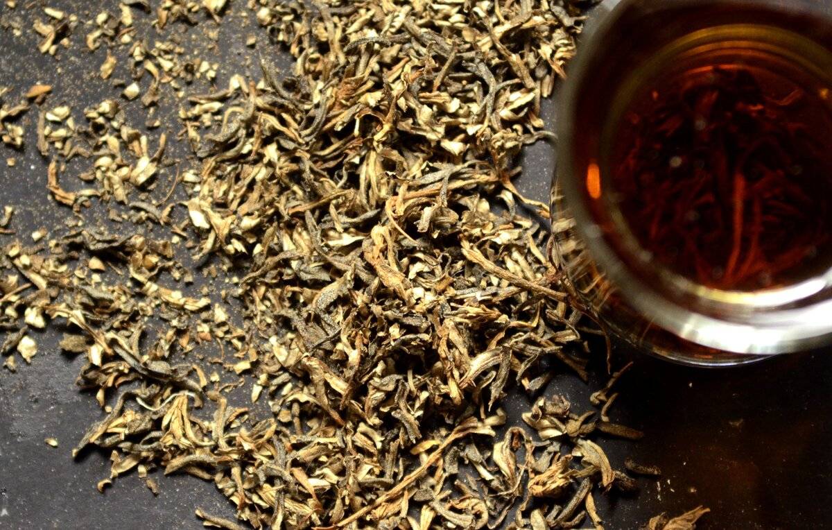Чай из кленовых листьев: как приготовить? ферментированный чай из листьев клена