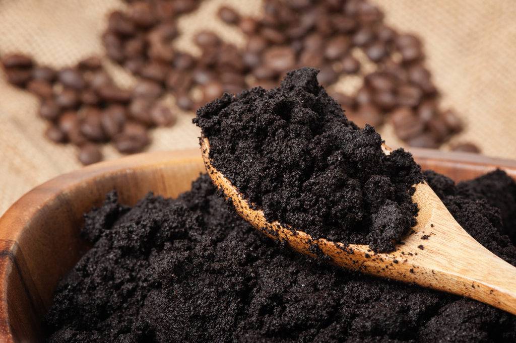 Кофейная гуща как удобрение — для каких растений подходит и как использовать