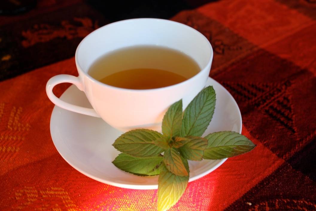 Чай из шалфея – польза и вред