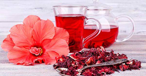 Из чего делают чай каркаде – эликсир молодости и здоровья