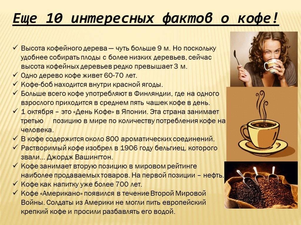 История появления кофе в европе |  coffeedom.ru - онлайн-журнал о кофе