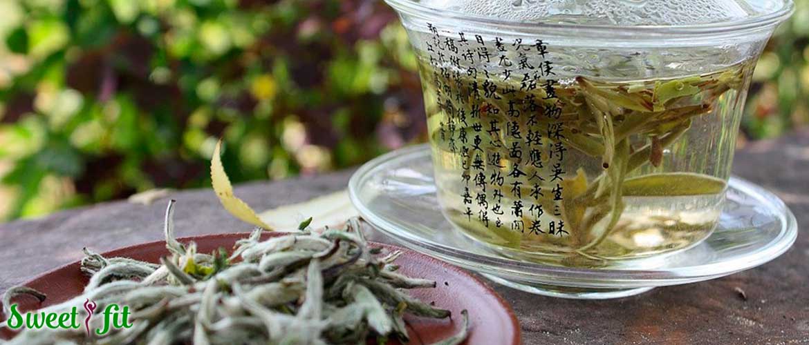 Как правильно заваривать китайский чай кудин и для кого он особенно полезен