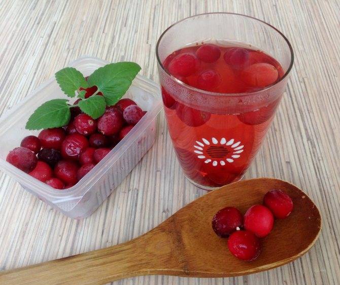 Морс из ягод: как приготовить морс в домашних условиях