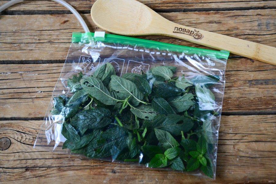 Как сушить мелиссу для чая на зиму: когда нужно собирать до цветения или после
