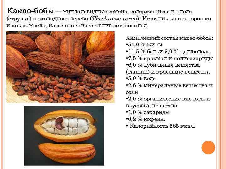 Какао порошок: польза и вред для здоровья, свойства, состав, противопоказания, когда лучше пить