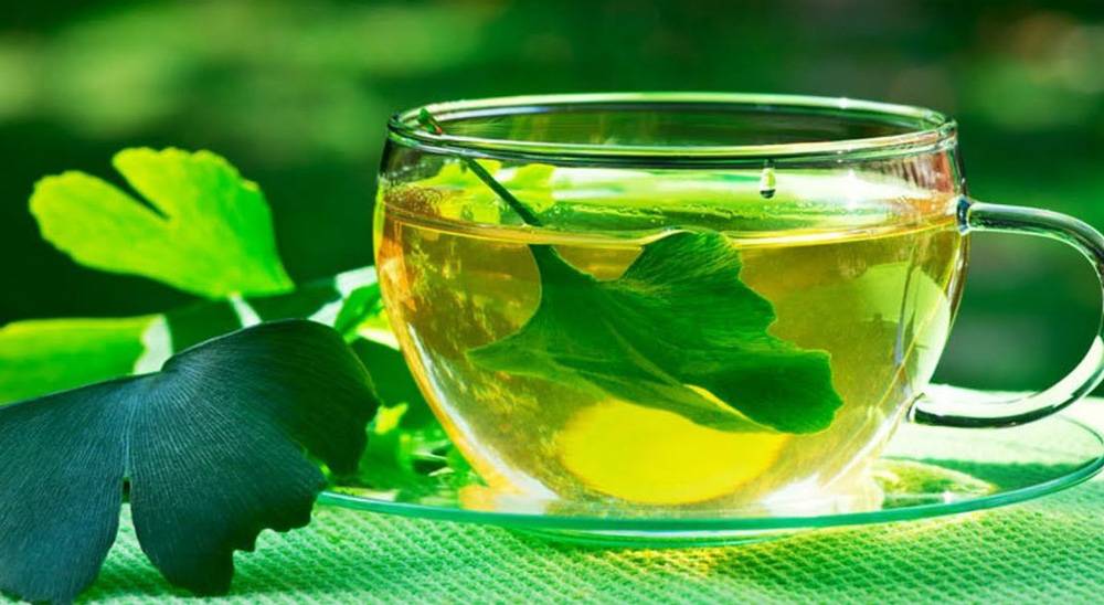 Как заваривать чай из листьев гинкго билоба: инструкция по применению, отзывы и рецепты