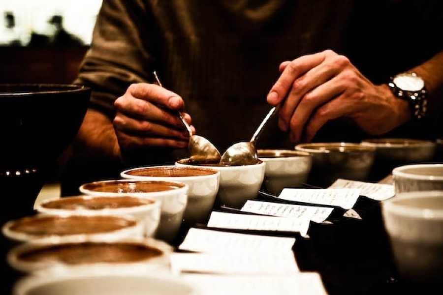 Каппинг: профессиональное тестирование вкуса и аромата кофе