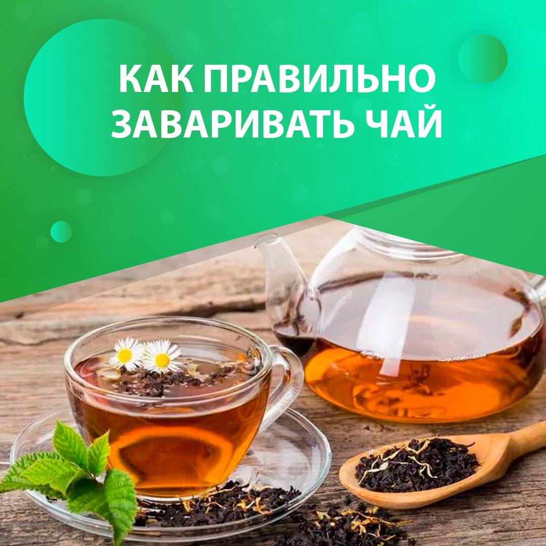 Антипаразитарный лекарственный чай: основные компоненты и правила применения