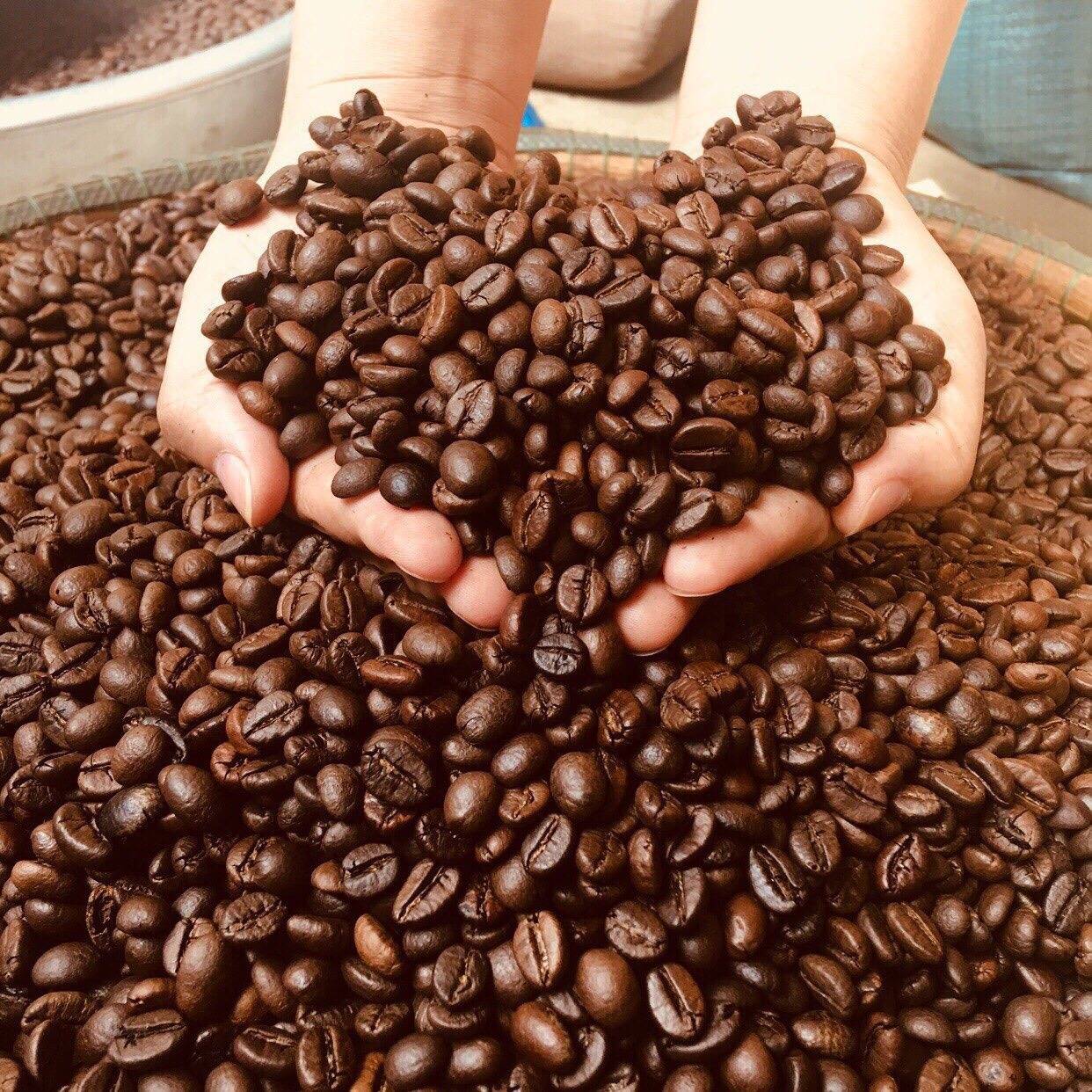 Арабика или робуста — что лучше и рейтинг хорошего кофе в зернах 2022 года