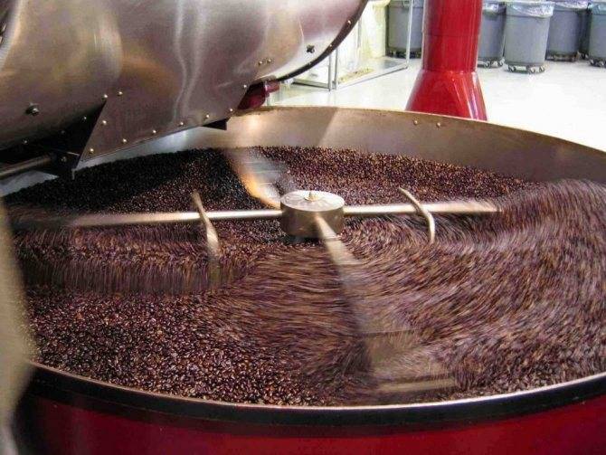 Из чего делают кофе Бариста в зернах и как его лучше готовить