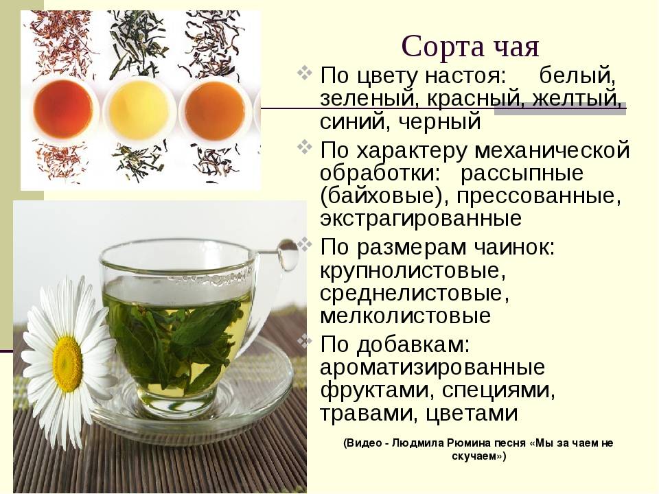 Чай: полезные свойства и разновидности