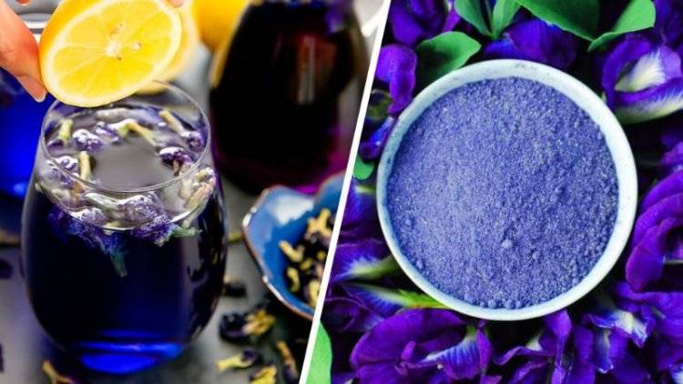 9 полезных свойств пурпурного чая чанг-шу (+как его правильно пить)