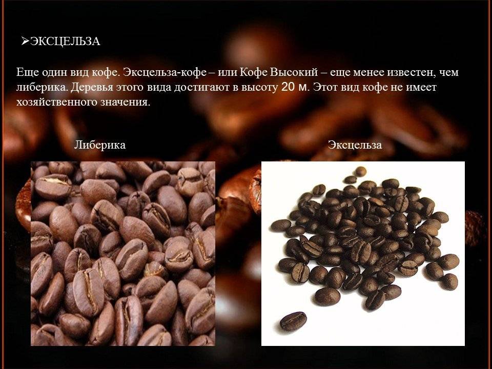 Черный кофе - польза и вред