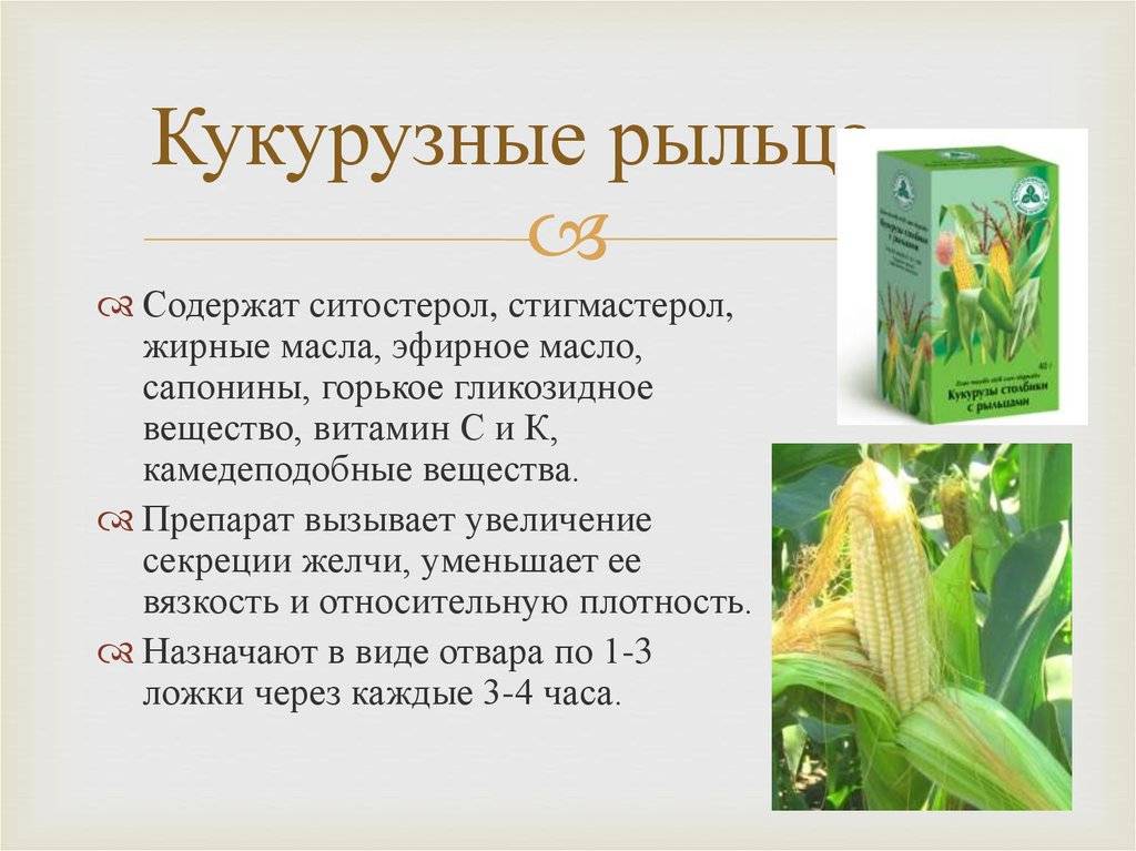 Рыльца кукурузы для чего