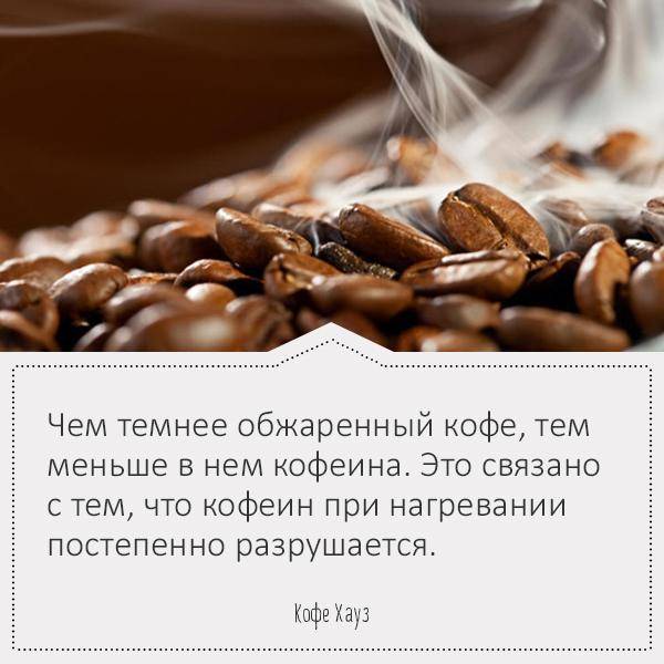 Топ-10 интересных фактов о кофе, которые могли не знать